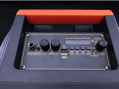 š BLUETOOTH ZVUÄNIK RX-8135W ā 10W | MIKROFON | FM | PARTY READY š„