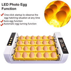 Automatski Inkubator za Jaja sa Kapacitetom od 24 Jaja - Brza i Jednostavna Inkubacija
