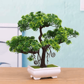 Elegantna Bonsai Dekoracija 23 cm za Vaš Prostor