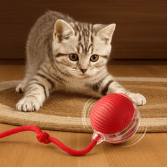 Pametna Električna Lopta za Igru sa Mačkama i Psima