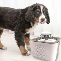 Fontana za vašeg ljubimca: Savršeno mjesto za uživanje!