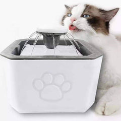 Fontana za vašeg ljubimca: Savršeno mjesto za uživanje!