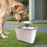 Fontana za vašeg ljubimca: Savršeno mjesto za uživanje!