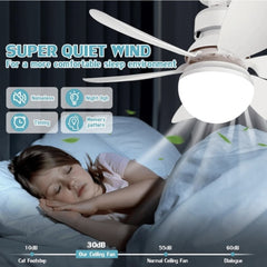 Ventilator sa LED Svjetlom – 2 u 1 Rješenje za Svježinu i Stil!