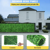 Umjetni Travnati Zidni Paneli – Priroda Bez Održavanja!