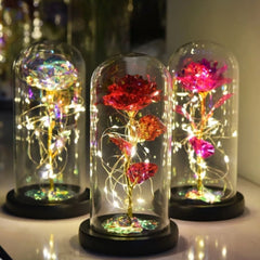 Očaravajuća LED Ruža unutar Elegantne Kupole