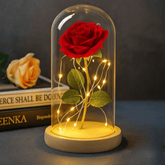 Očaravajuća LED Ruža unutar Elegantne Kupole