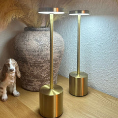 Moderna LED Stolna Lampa sa Punjivom Funkcijom