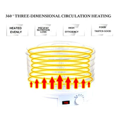 Innovative Magitec Food Dehydrator for Healthy Snacks
