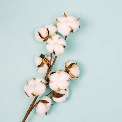 Luksuzni NADYA pamučni set posteljine za savršen san