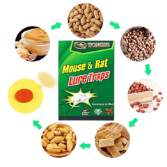 Set od 10 visokokvalitetnih ljepljivih zamki za miševe