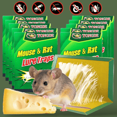 Set od 10 visokokvalitetnih ljepljivih zamki za miševe