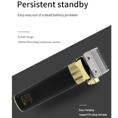 Profesionalna Mašina za Šišanje Rozia Pro "HQ2228" - Savršen Izbor za Stilizovanje!