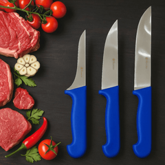 Elegantan set mesarskih noževa za vrhunske kulinarske kreacije