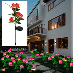 Zavodljivi Set Solarnih Ruža