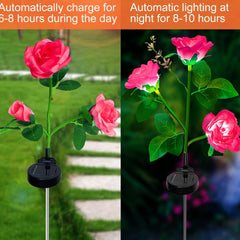 Zavodljivi Set Solarnih Ruža