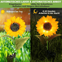 Osvježite Svoj Vrt s Prekrasnim Suncokretima - Solarne Vrtne Svjetiljke!