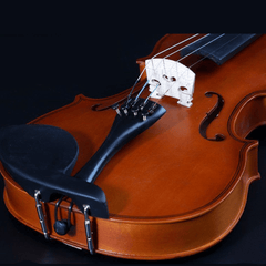 Violina 4/4 s elegantnim koferom za savršenu zaštitu