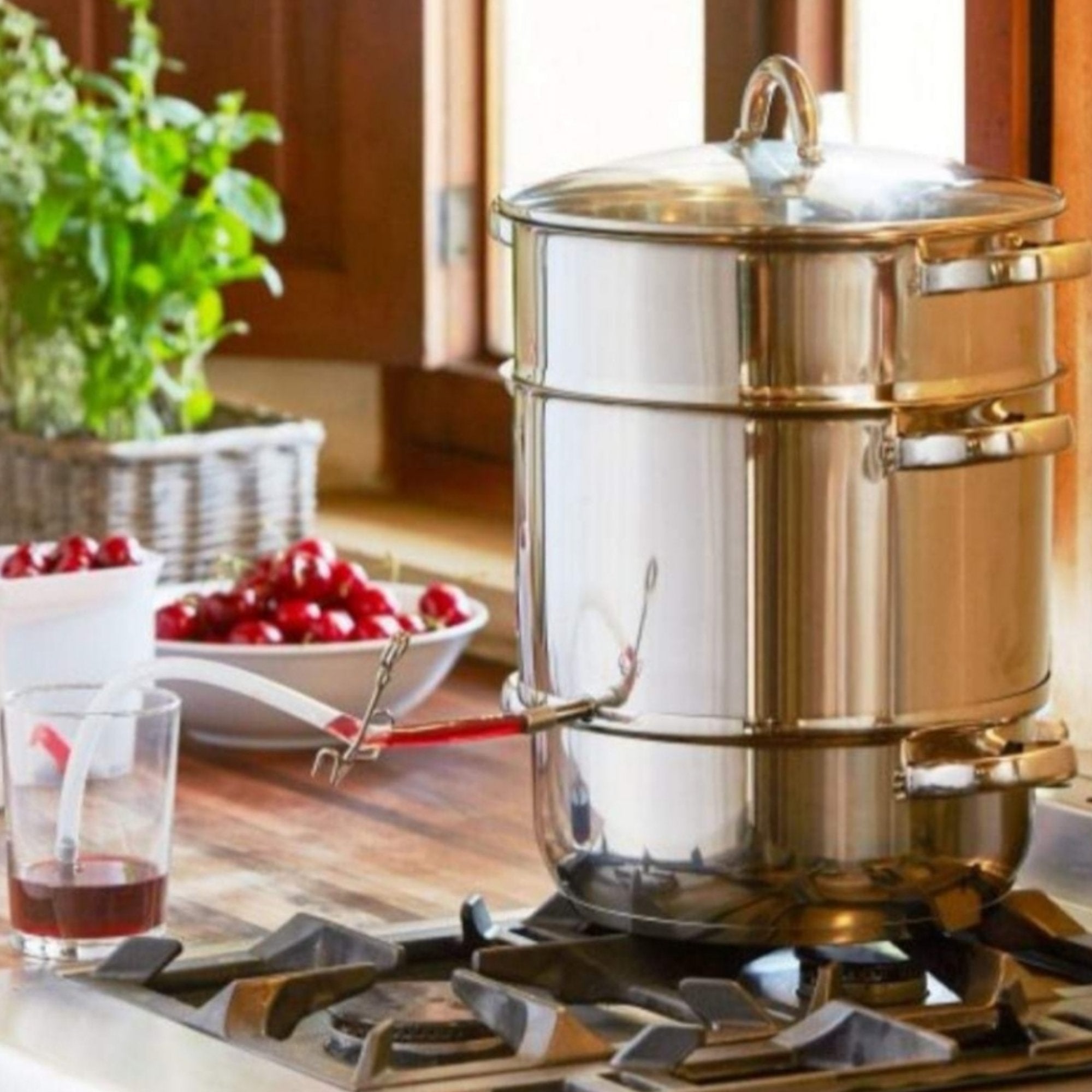 Inox 8L Parni Sokovnik za Savršene Sokove