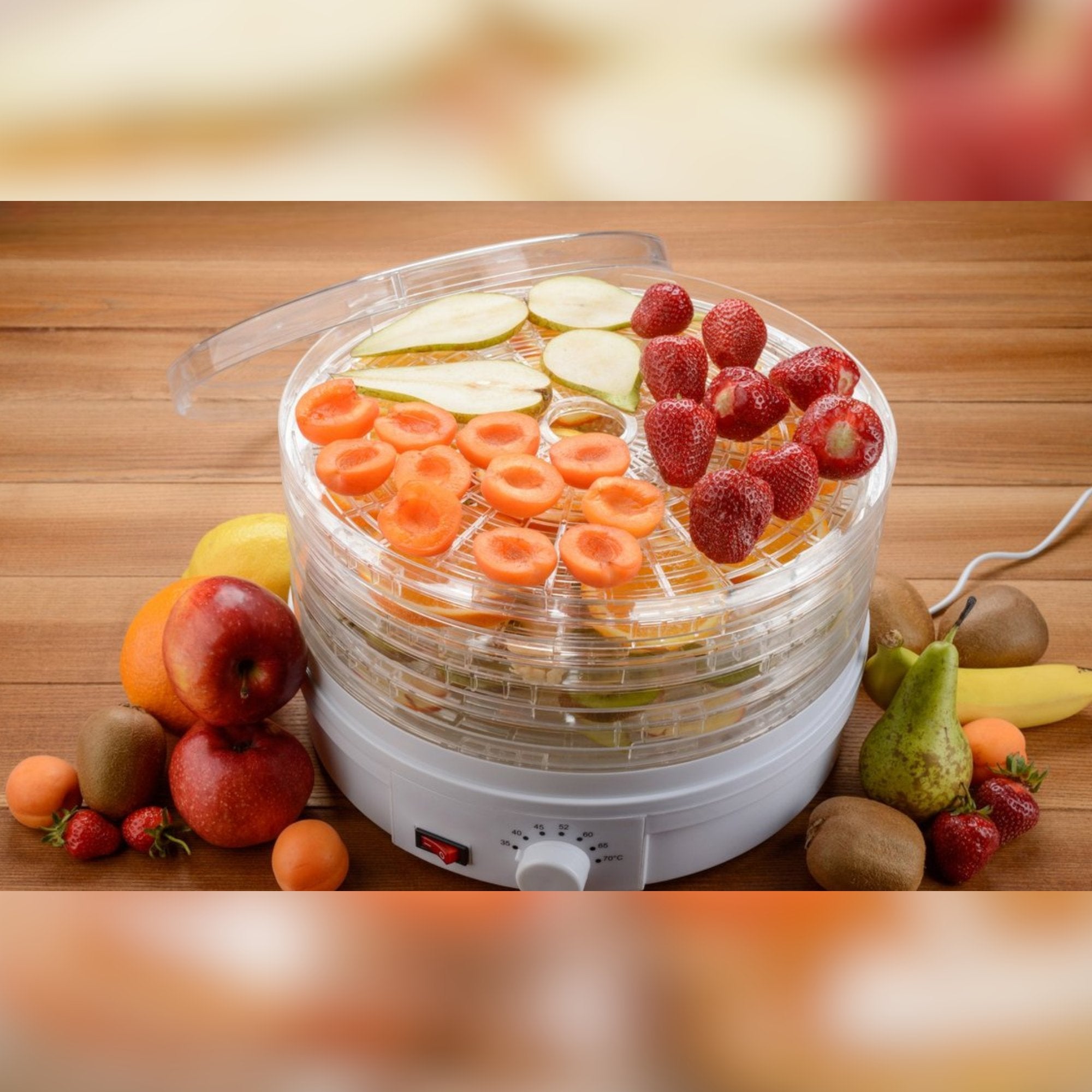 Innovative Magitec Food Dehydrator for Healthy Snacks