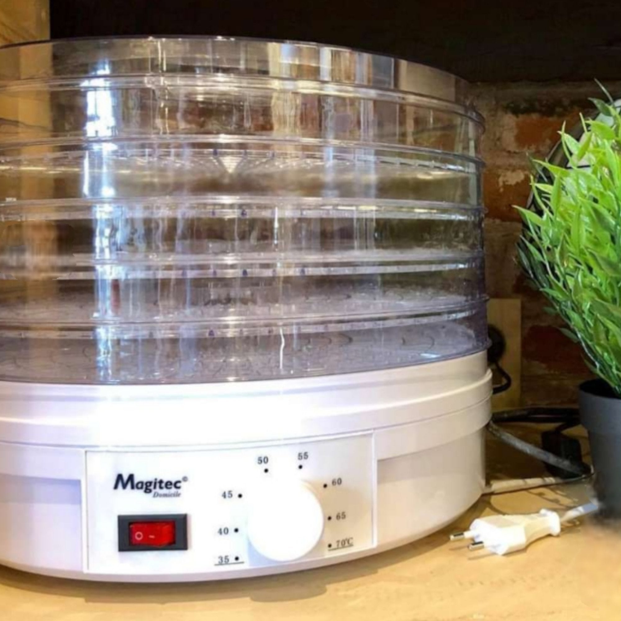Innovative Magitec Food Dehydrator for Healthy Snacks