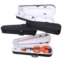 Violina 4/4 s elegantnim koferom za savršenu zaštitu