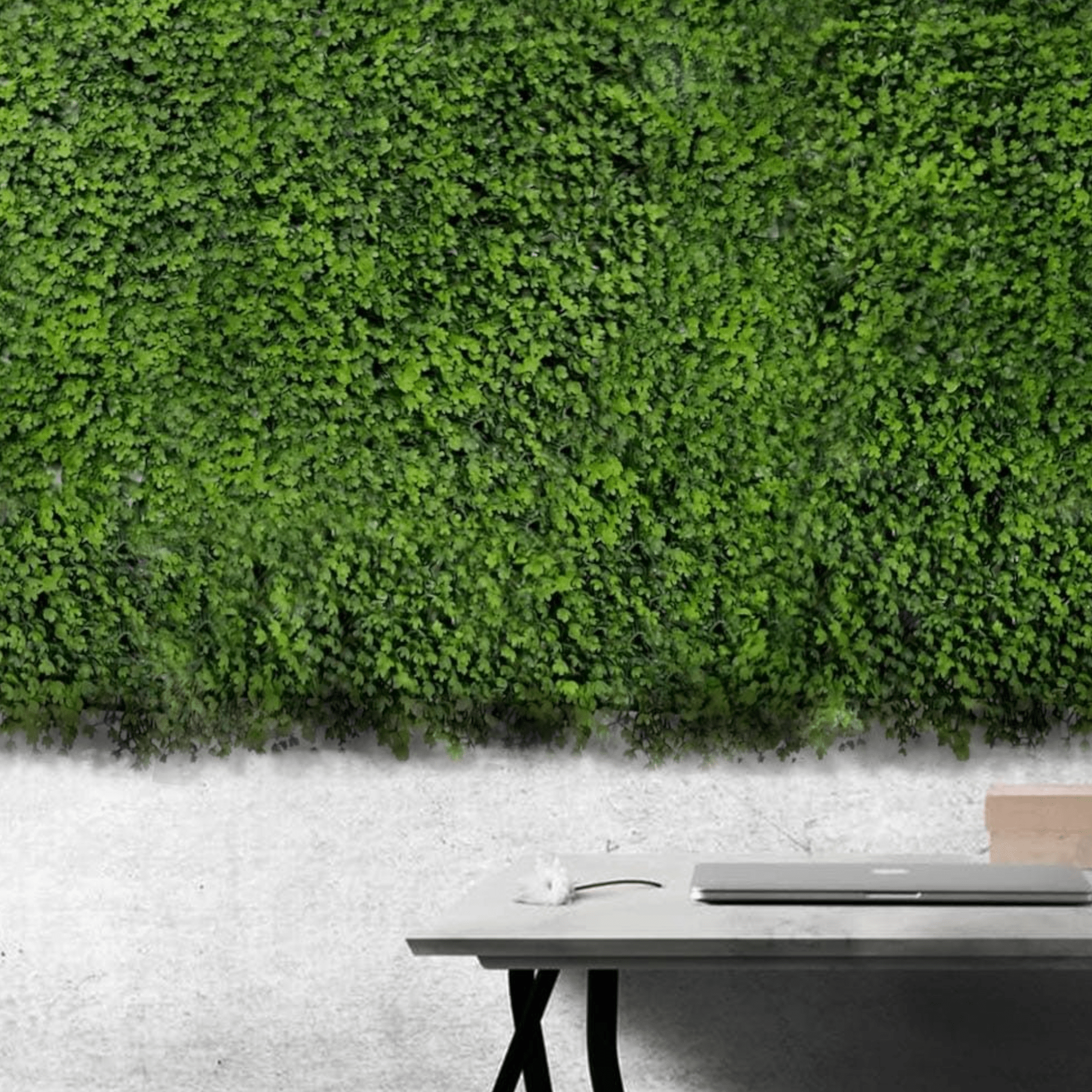 Elegantni zidni paneli od umjetne trave "Bonsai" za prirodan izgled i unikatni ugođaj